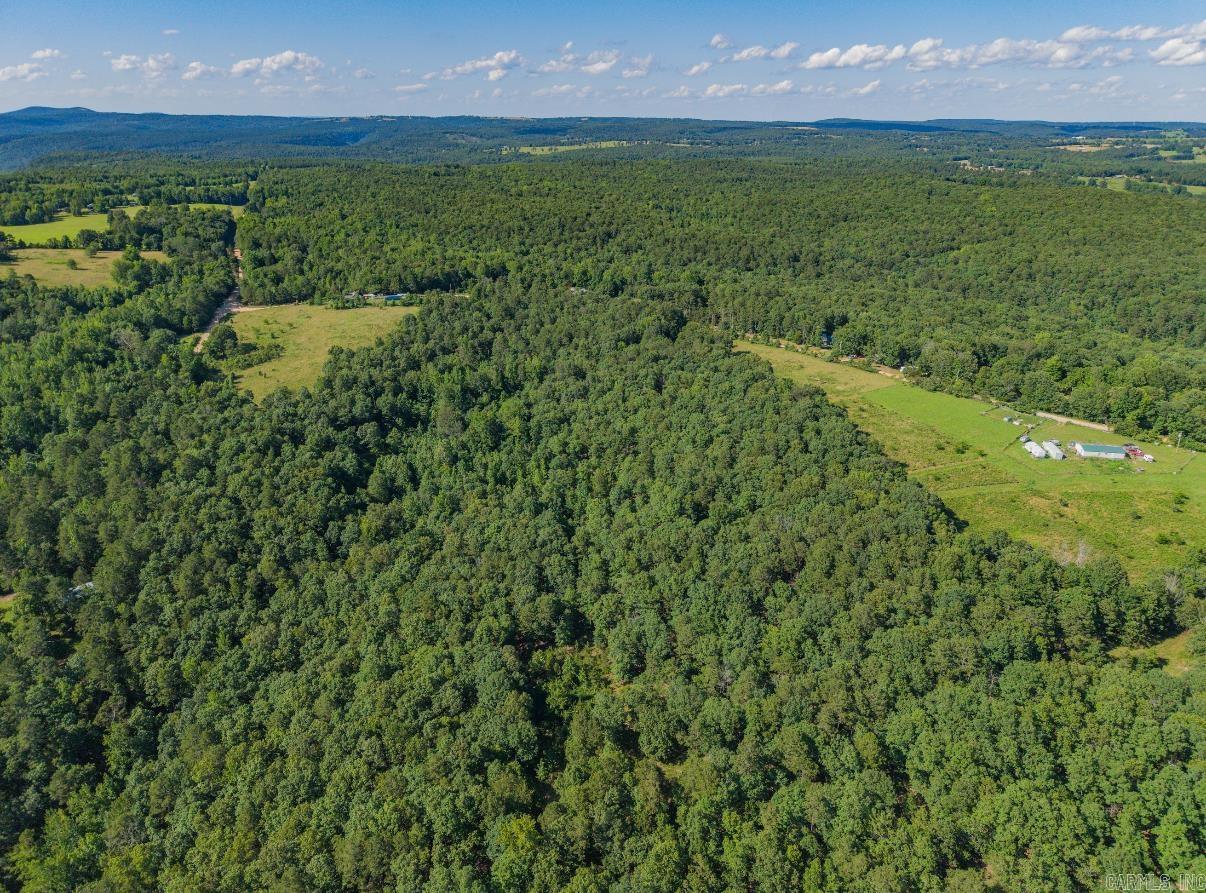 413 McElroy Road  Fox, AR
