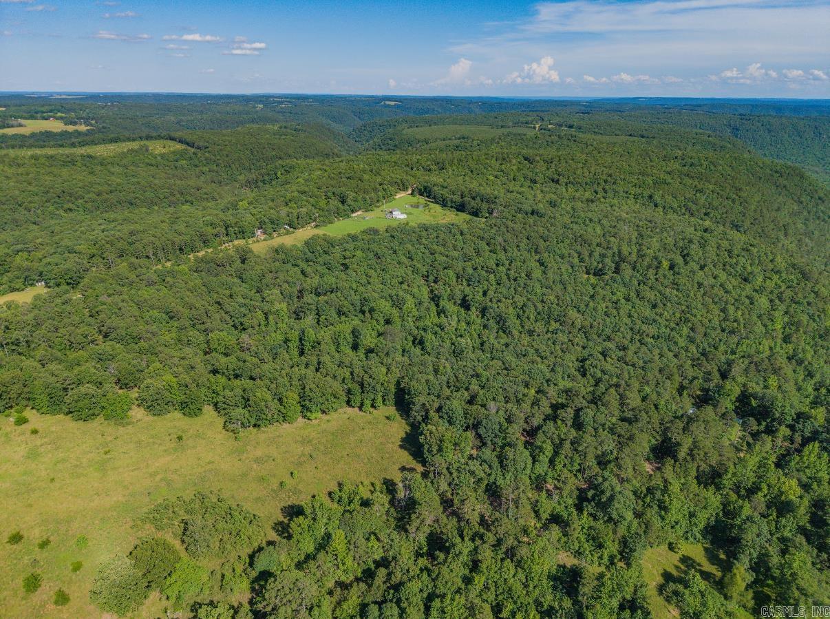413 McElroy Road  Fox, AR