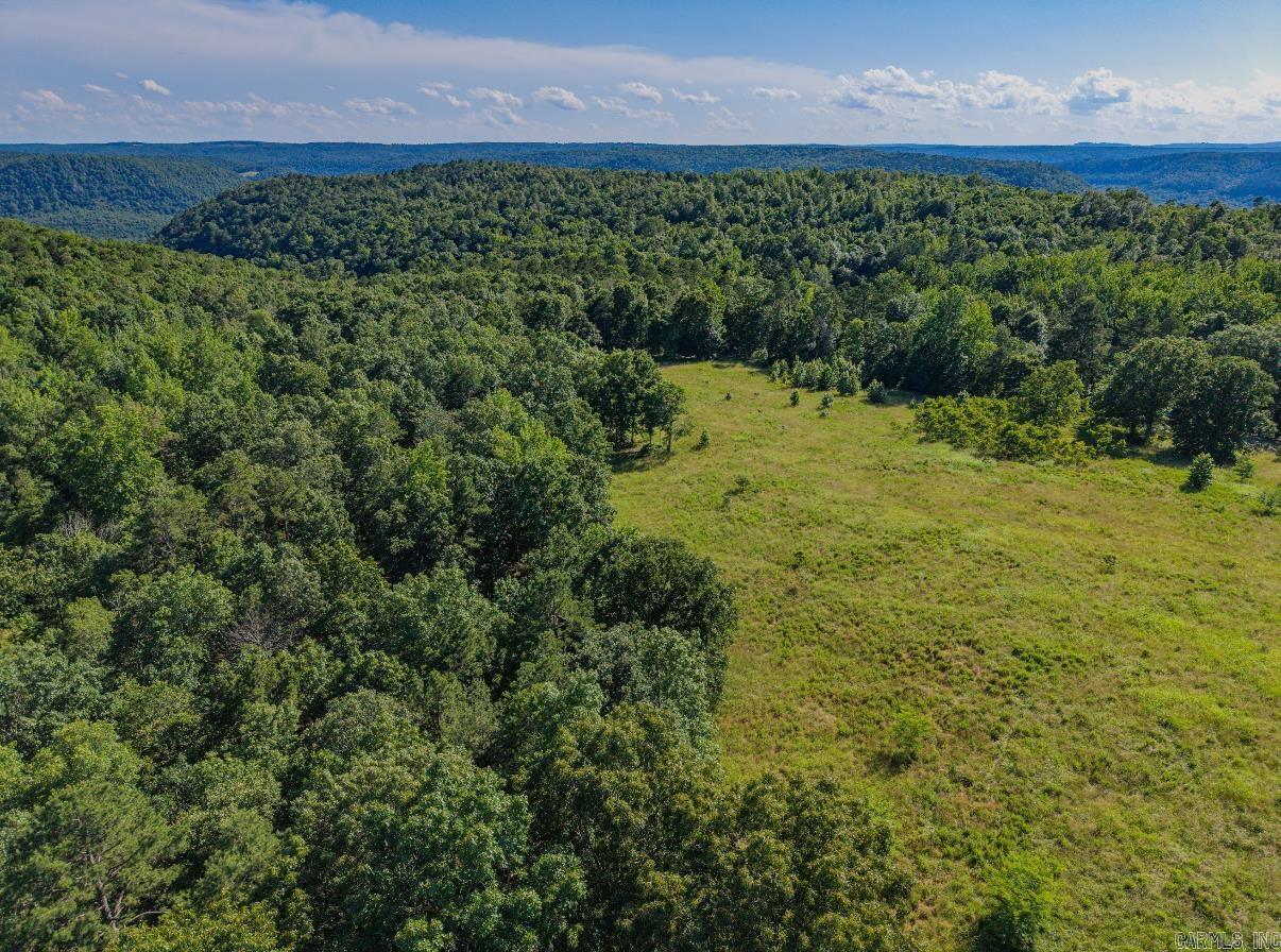 413 McElroy Road  Fox, AR
