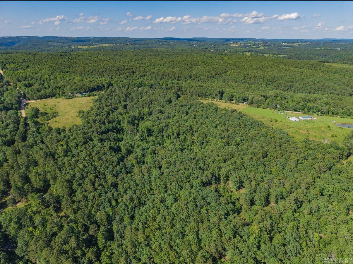 413 McElroy Road  Fox, AR