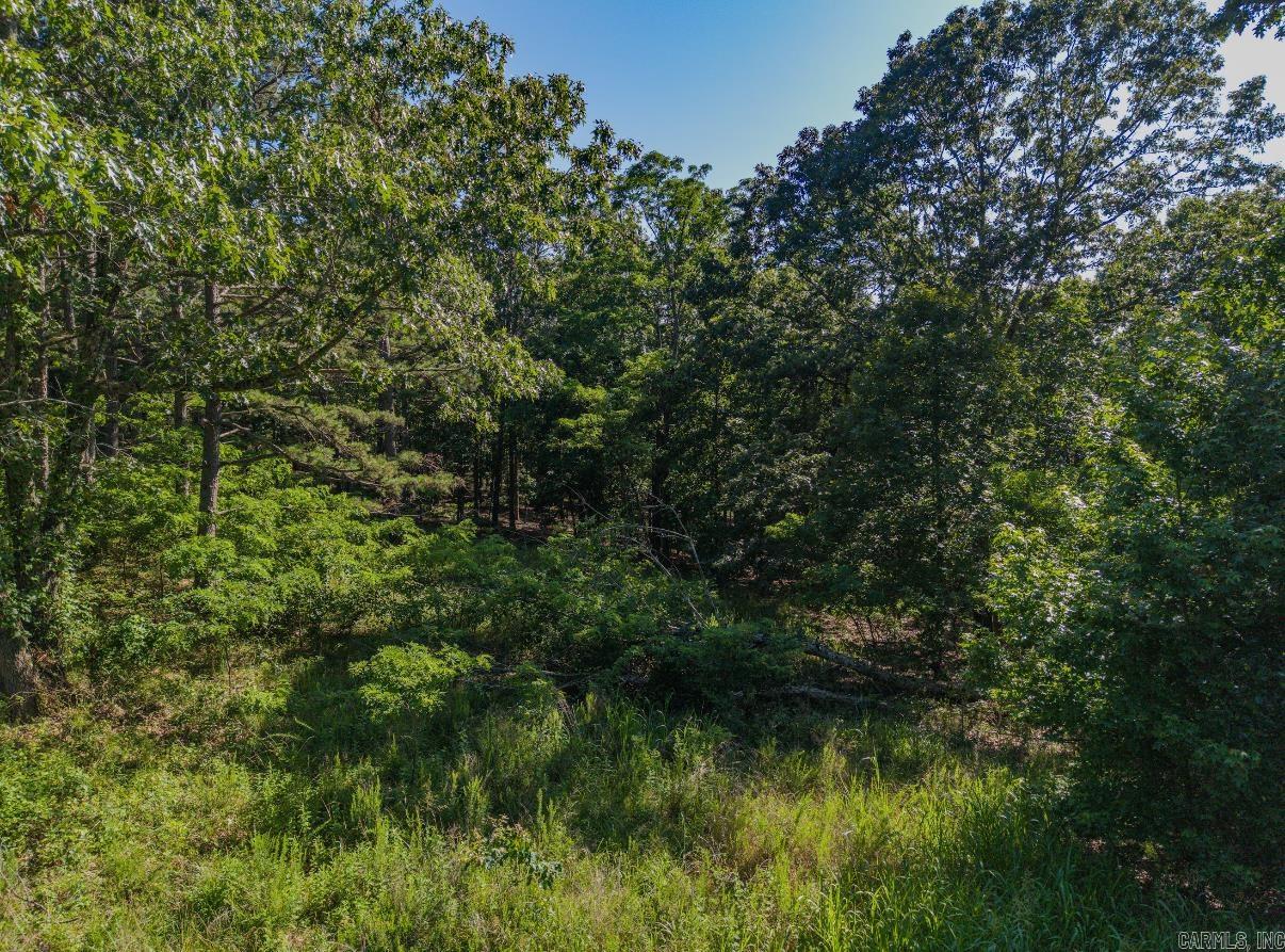 413 McElroy Road  Fox, AR
