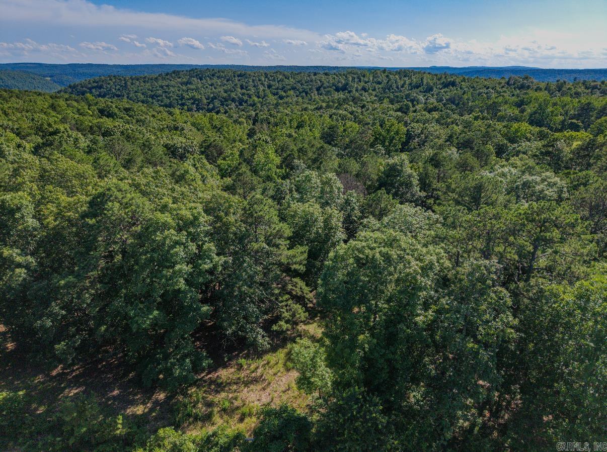 413 McElroy Road  Fox, AR