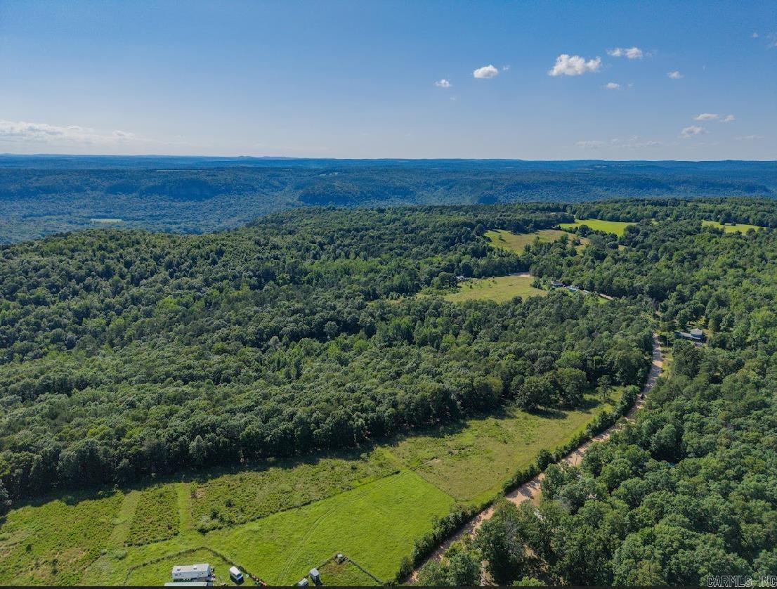 413 McElroy Road  Fox, AR