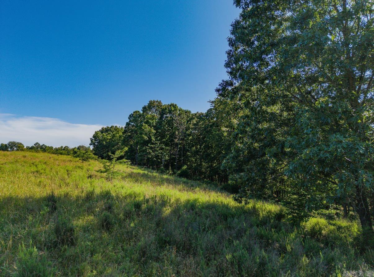 413 McElroy Road  Fox, AR