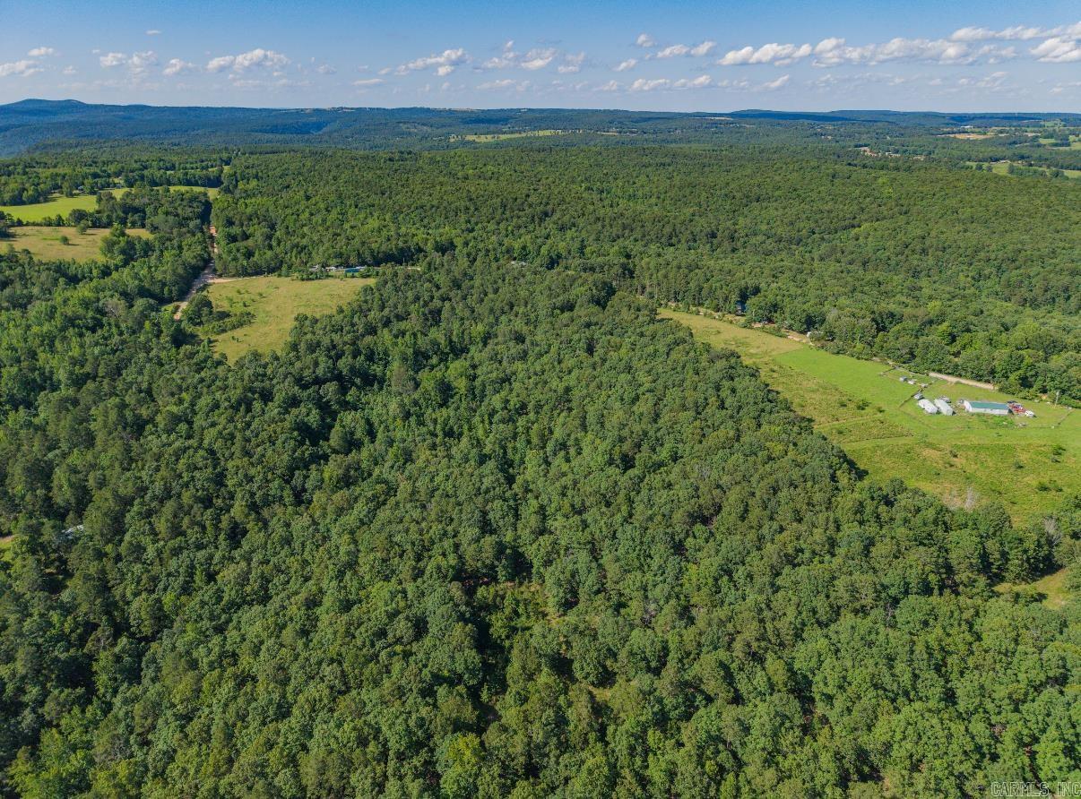 413 McElroy Road  Fox, AR