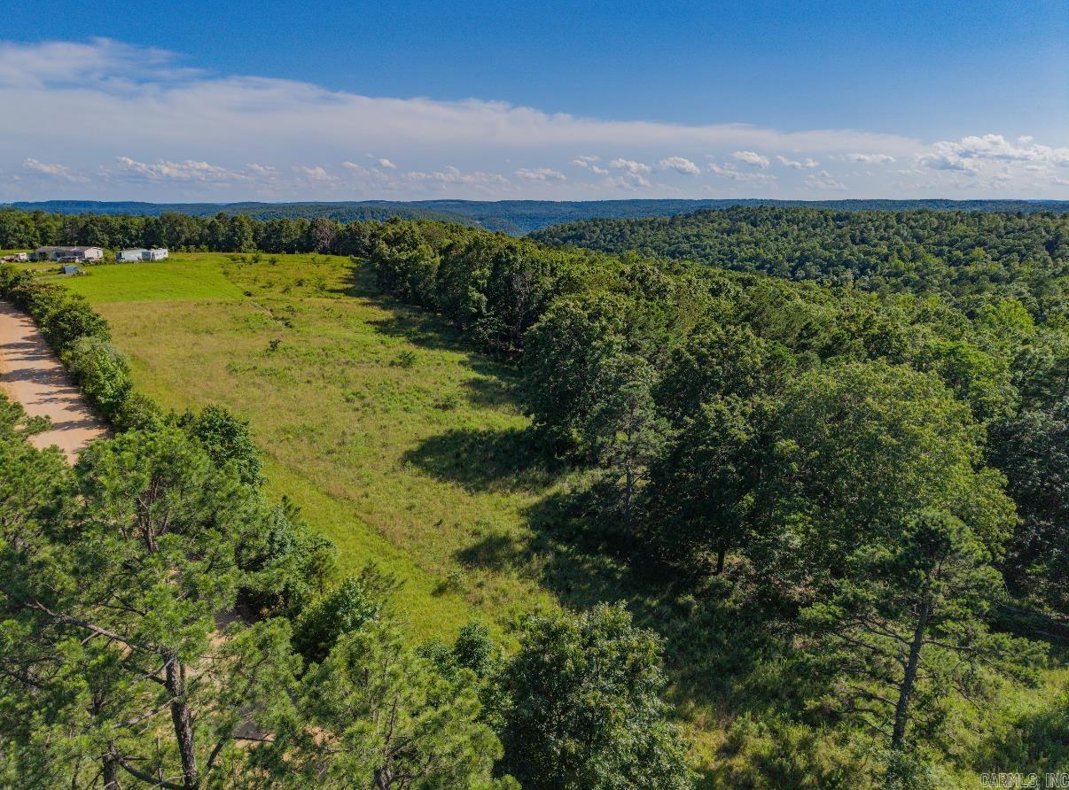 413 McElroy Road  Fox, AR