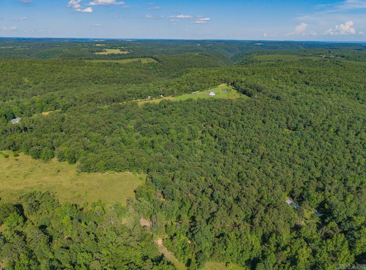 413 McElroy Road  Fox, AR