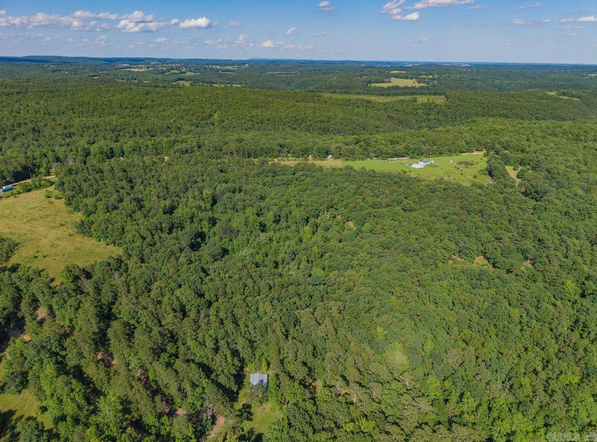 413 McElroy Road  Fox, AR
