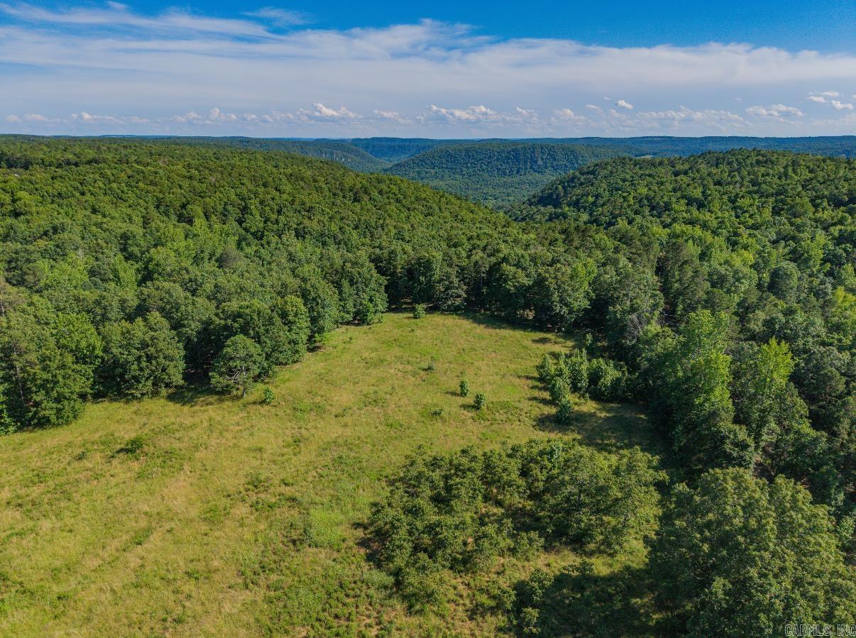 413 McElroy Road  Fox, AR