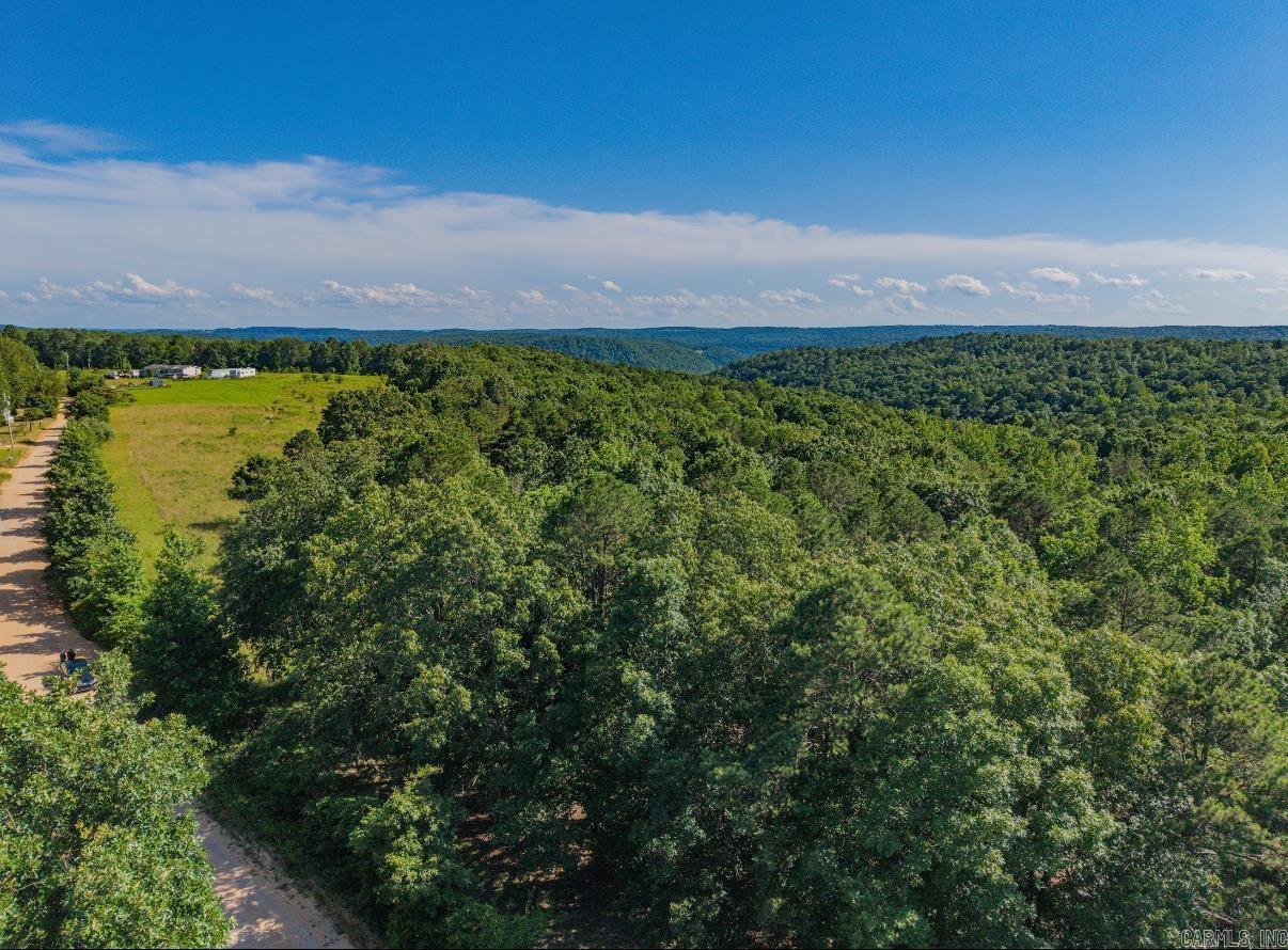 413 McElroy Road  Fox, AR