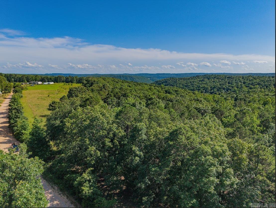 413 McElroy Road  Fox, AR