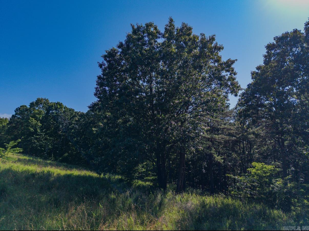 413 McElroy Road  Fox, AR