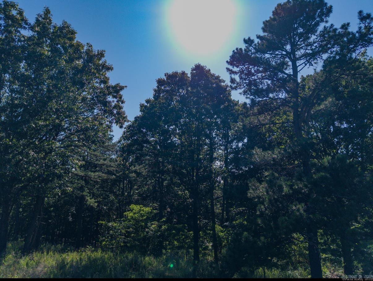 413 McElroy Road  Fox, AR