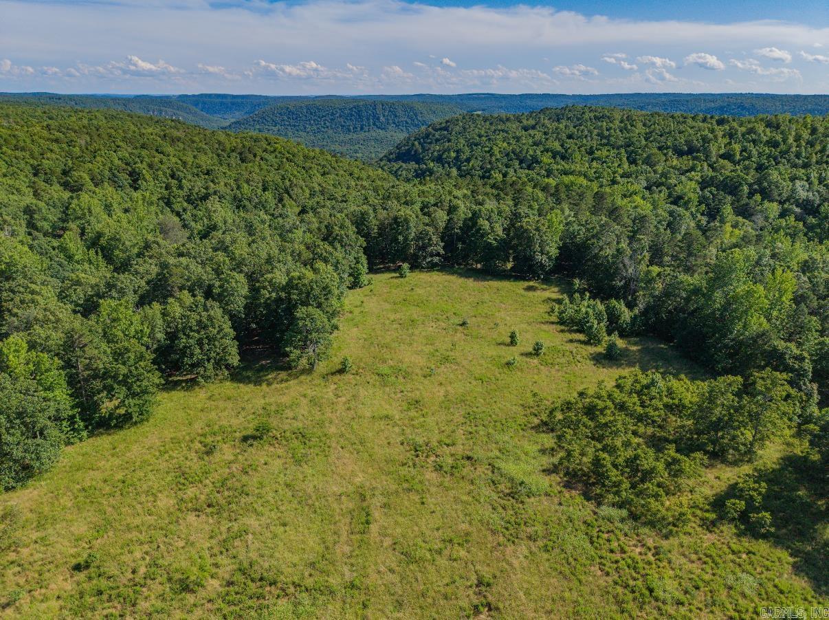 413 McElroy Road  Fox, AR