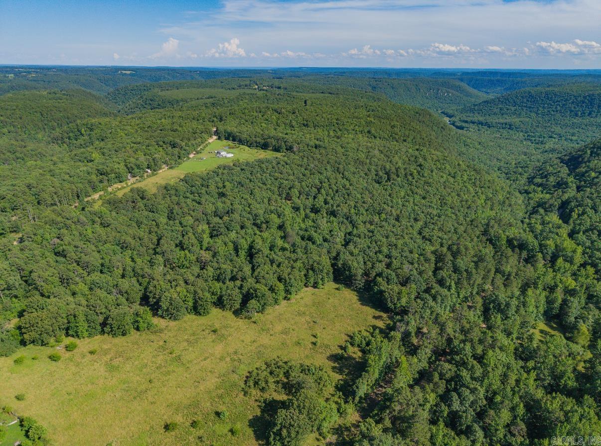 413 McElroy Road  Fox, AR