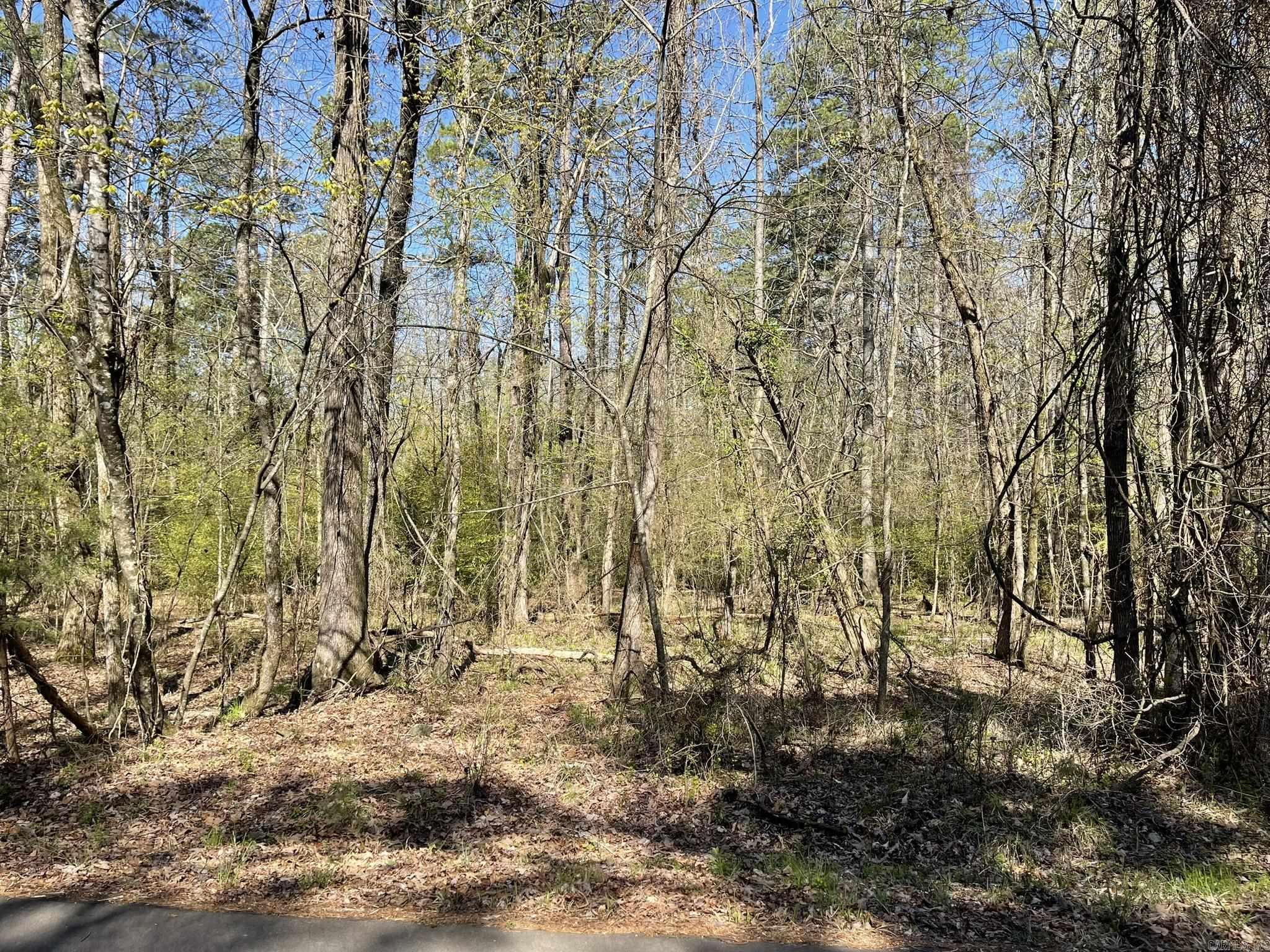 Lot 49 Costa Del Lago  Hot Springs Village, AR
