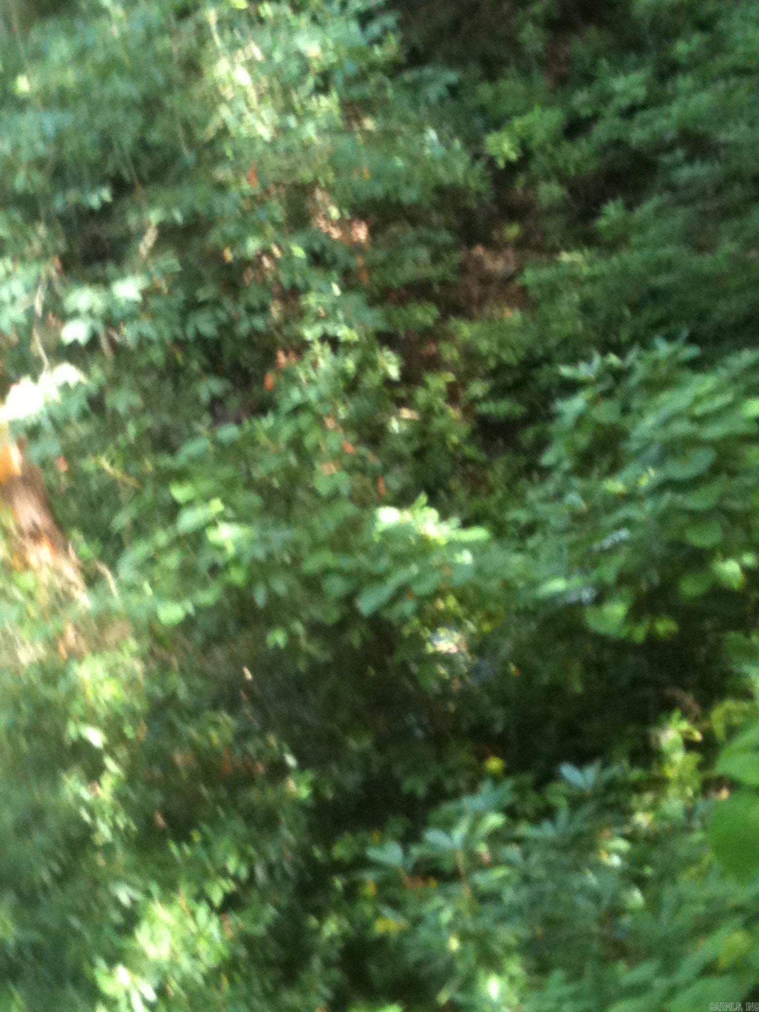 470 Little Red Mtn Rd  Pangburn, AR