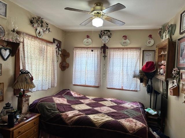 540 Toad Hollow Rd  Mountain View, AR