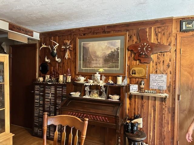 540 Toad Hollow Rd  Mountain View, AR