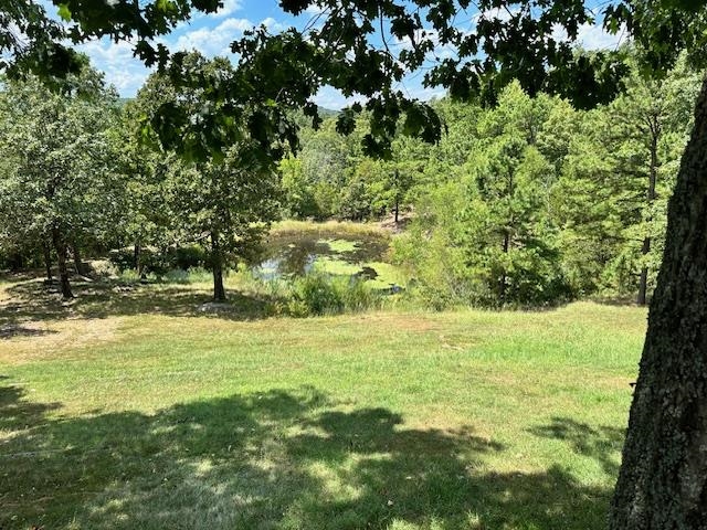540 Toad Hollow Rd  Mountain View, AR