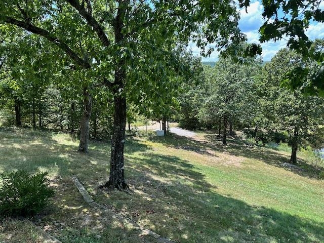 540 Toad Hollow Rd  Mountain View, AR