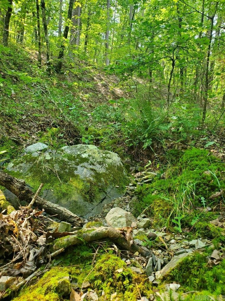 TBD Polk Road 62  Mena, AR