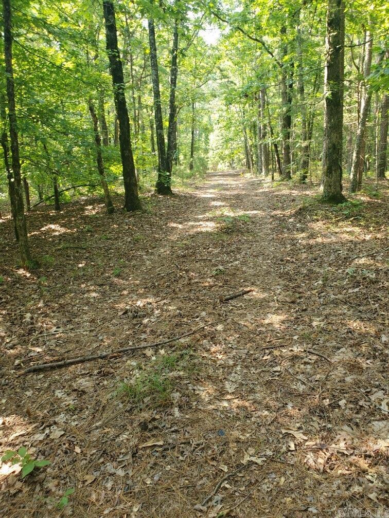 TBD Polk Road 62  Mena, AR