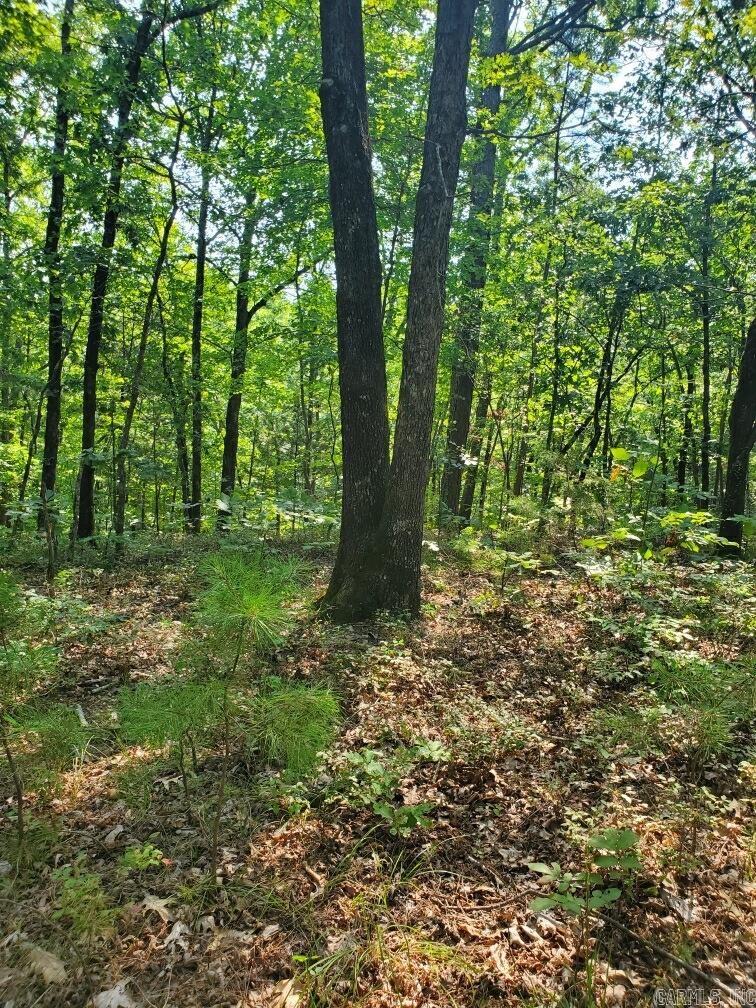TBD Polk Road 62  Mena, AR