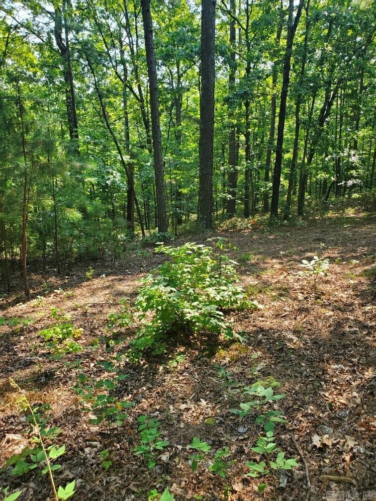 TBD Polk Road 62  Mena, AR