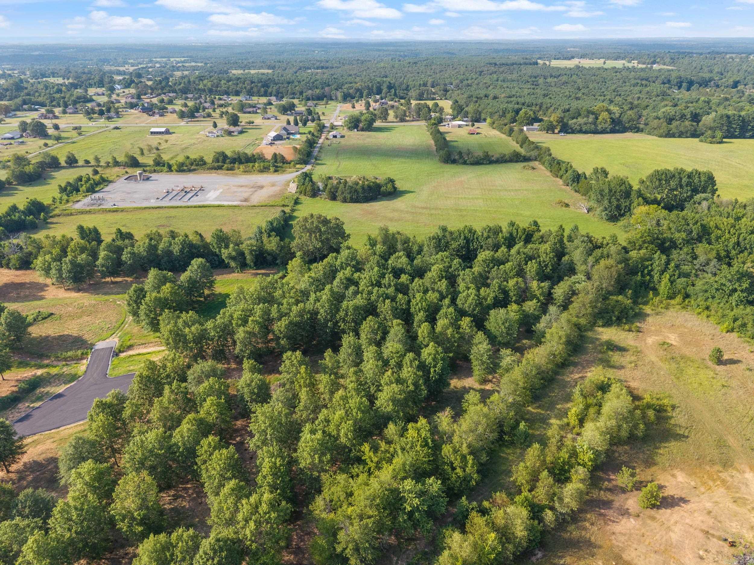 28R River Birch Drive  Guy, AR