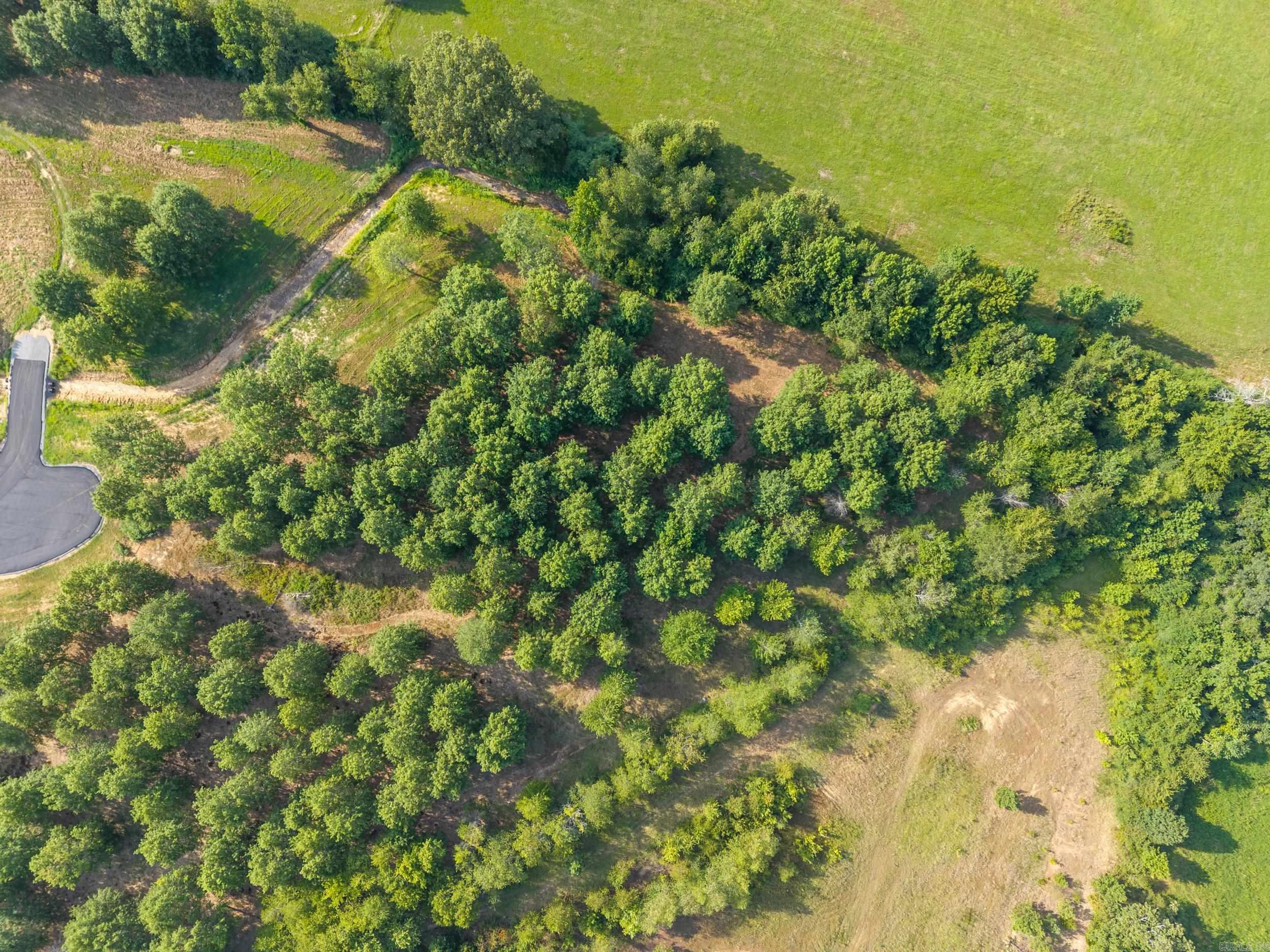 28R River Birch Drive  Guy, AR