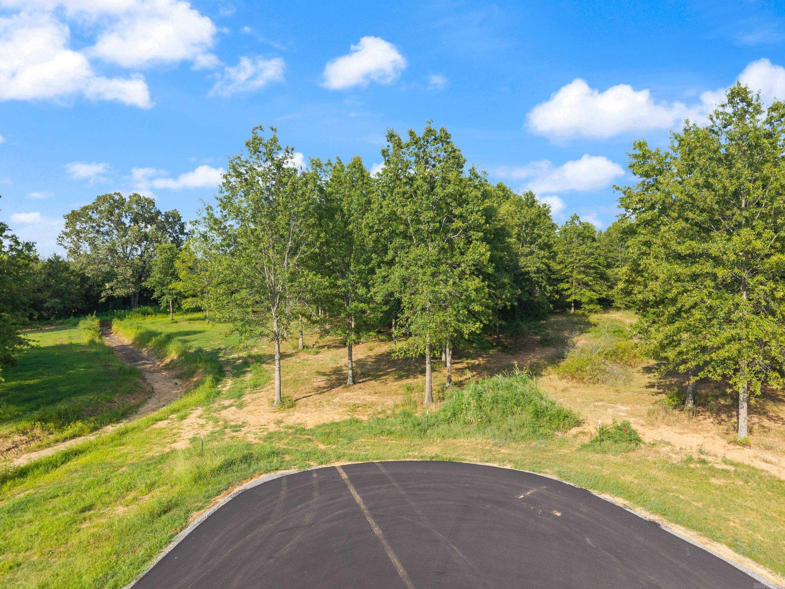 28R River Birch Drive  Guy, AR