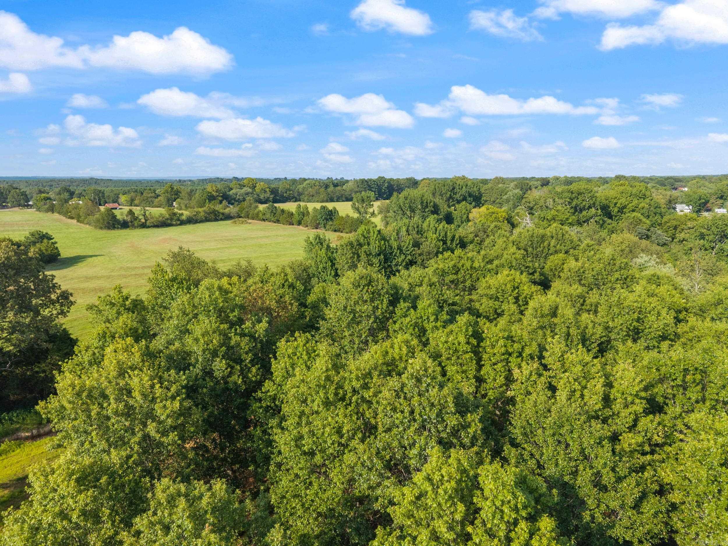 28R River Birch Drive  Guy, AR