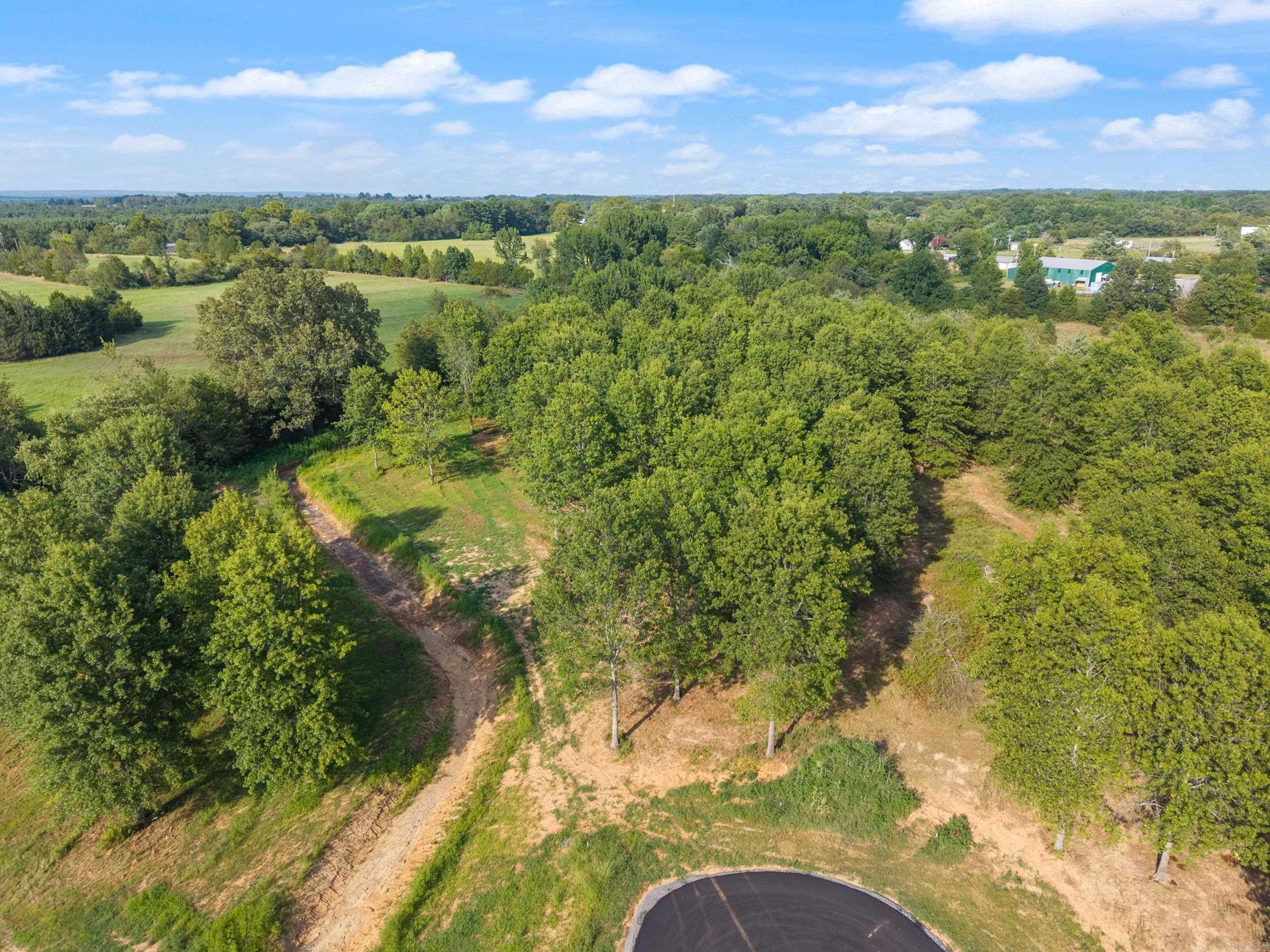 28R River Birch Drive  Guy, AR
