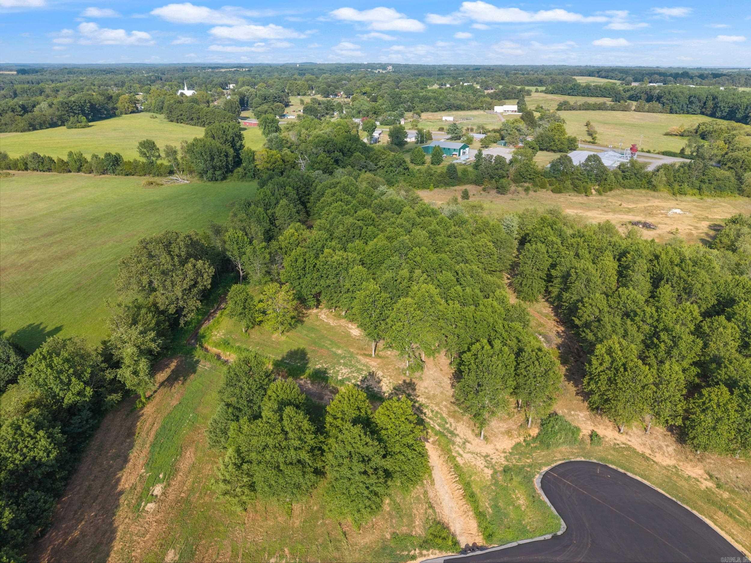 28R River Birch Drive  Guy, AR