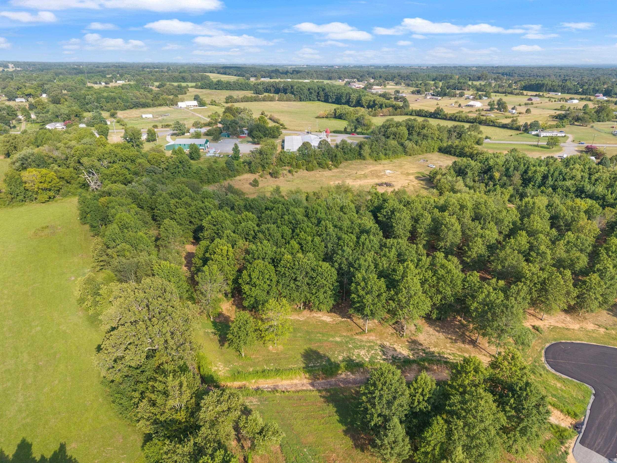 28R River Birch Drive  Guy, AR