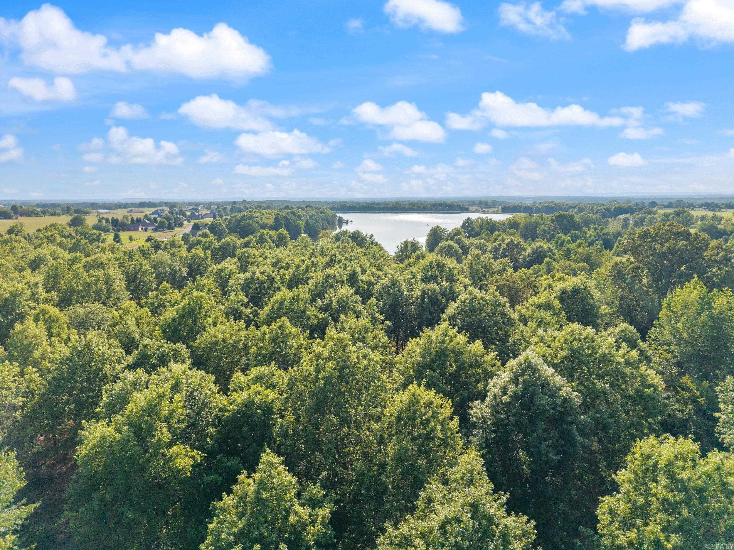 28R River Birch Drive  Guy, AR