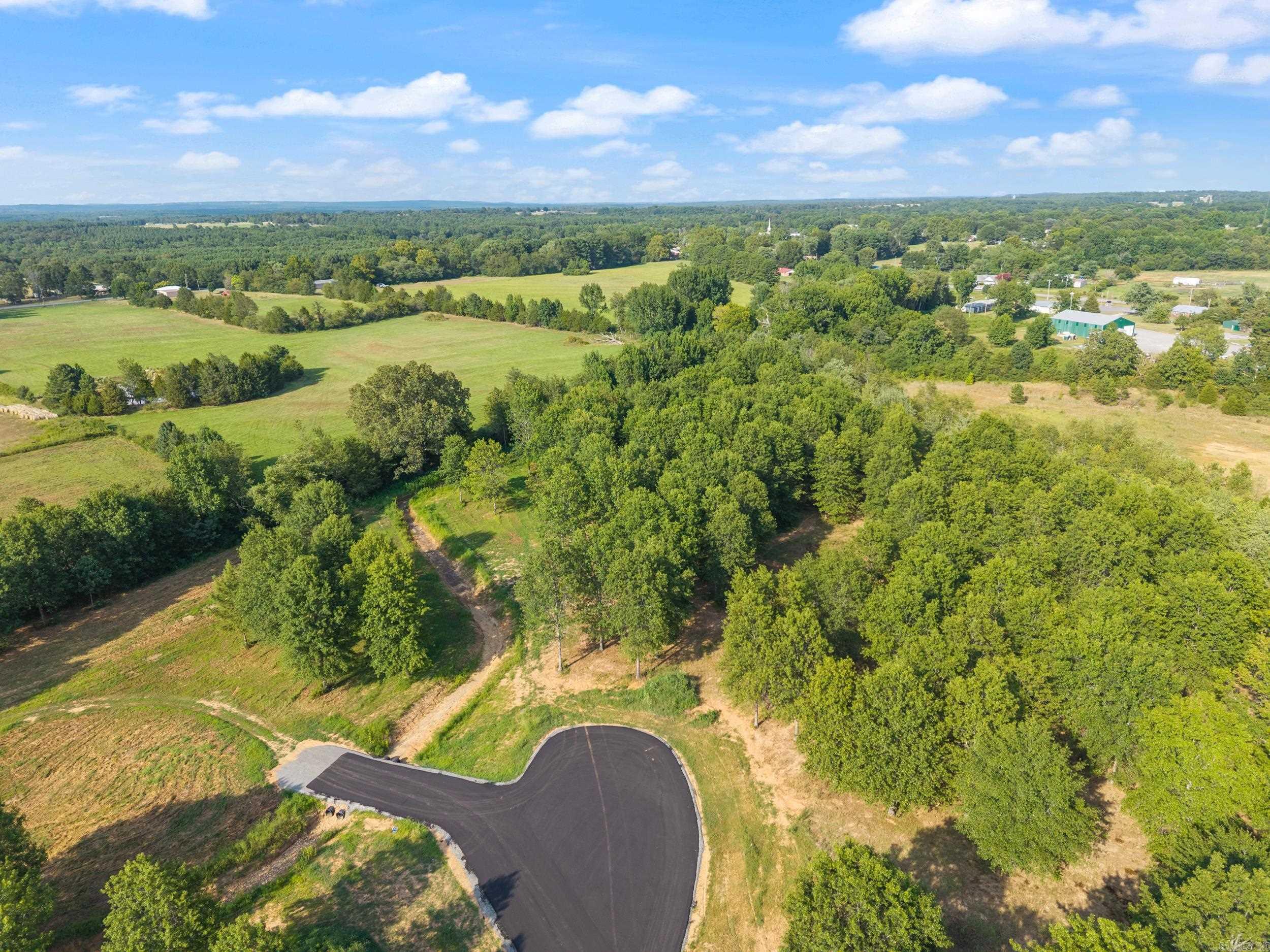 28R River Birch Drive  Guy, AR