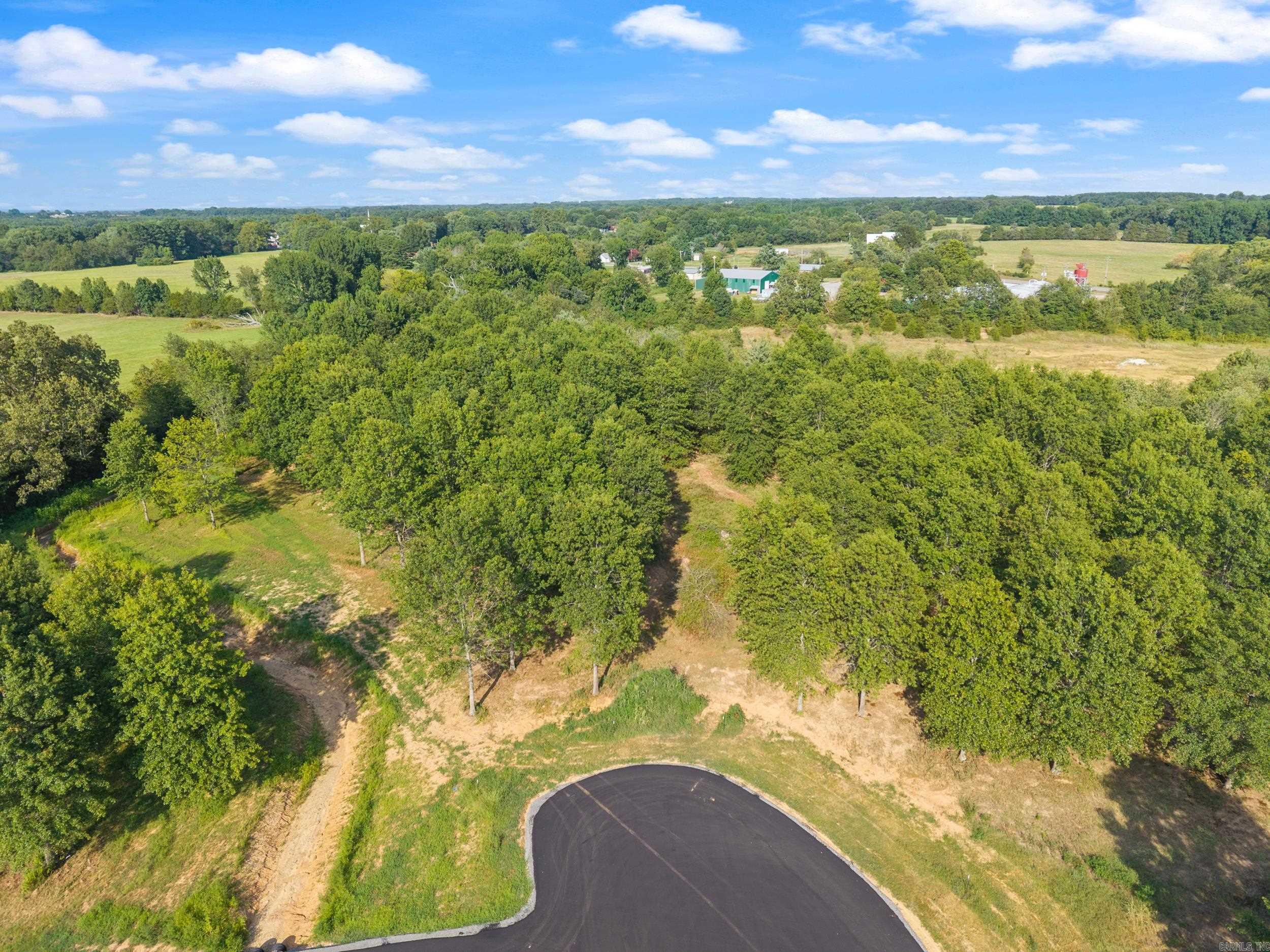 28R River Birch Drive  Guy, AR