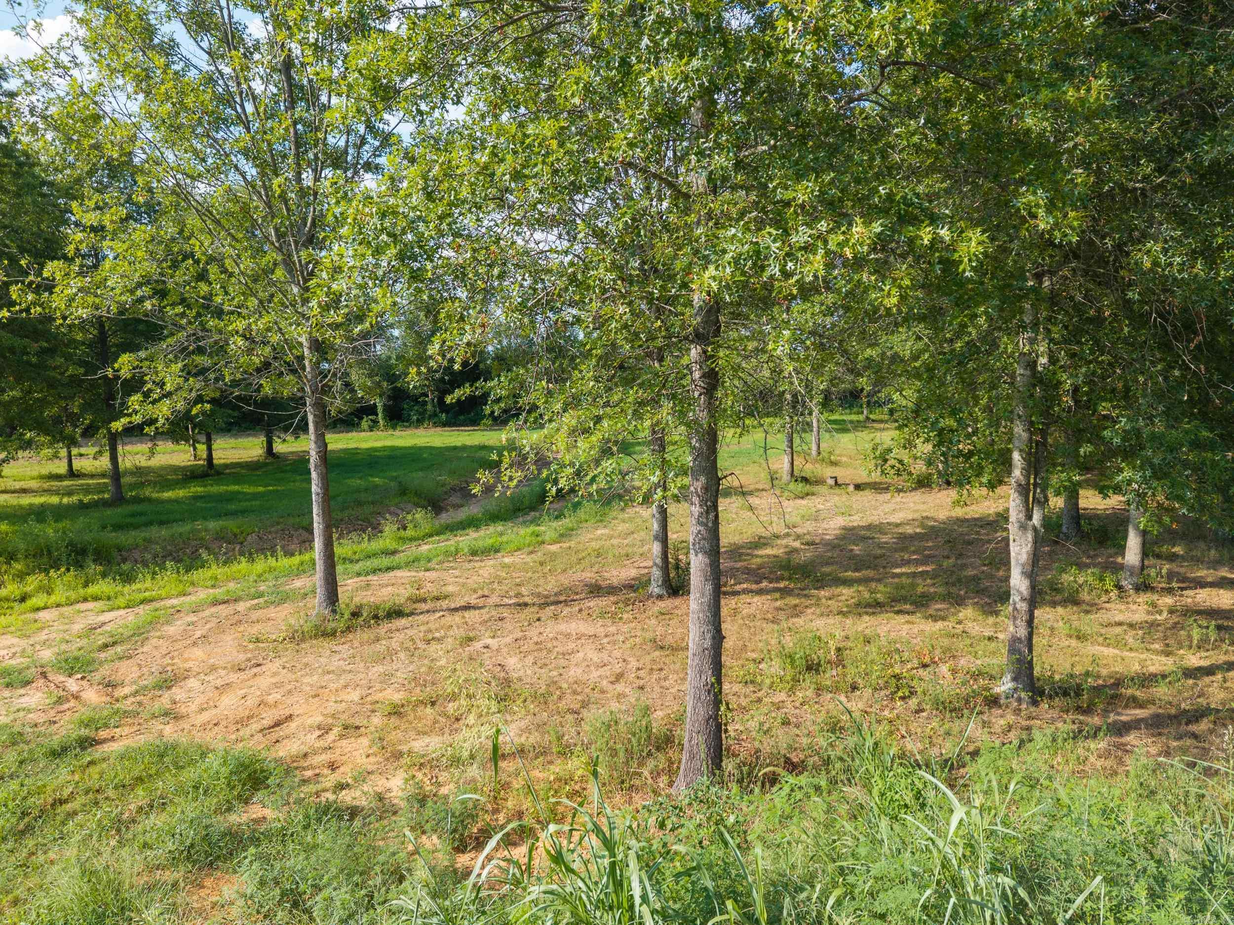 29R River Birch Drive  Guy, AR