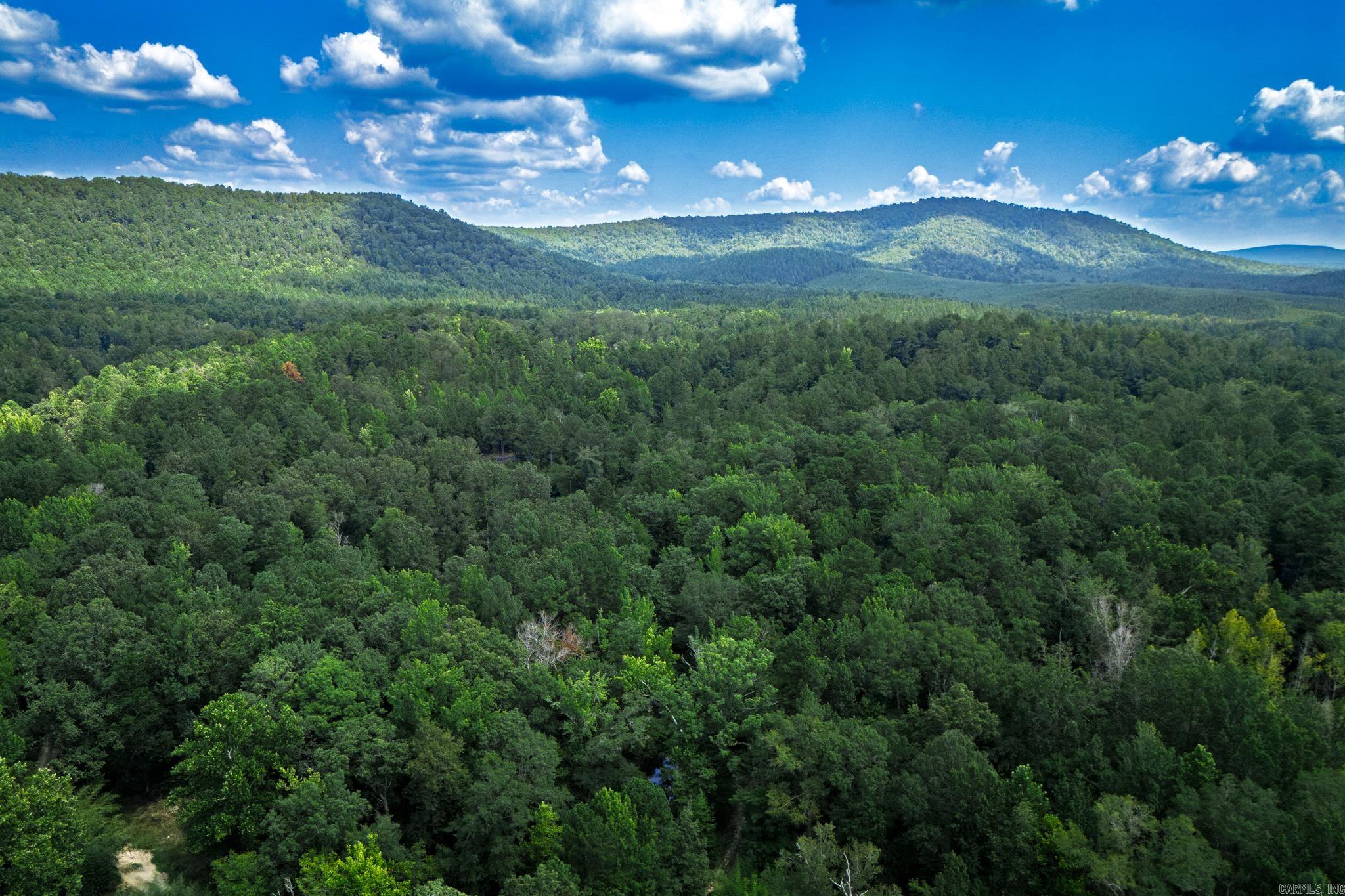 00B W Glazypeau  Mountain Pine, AR