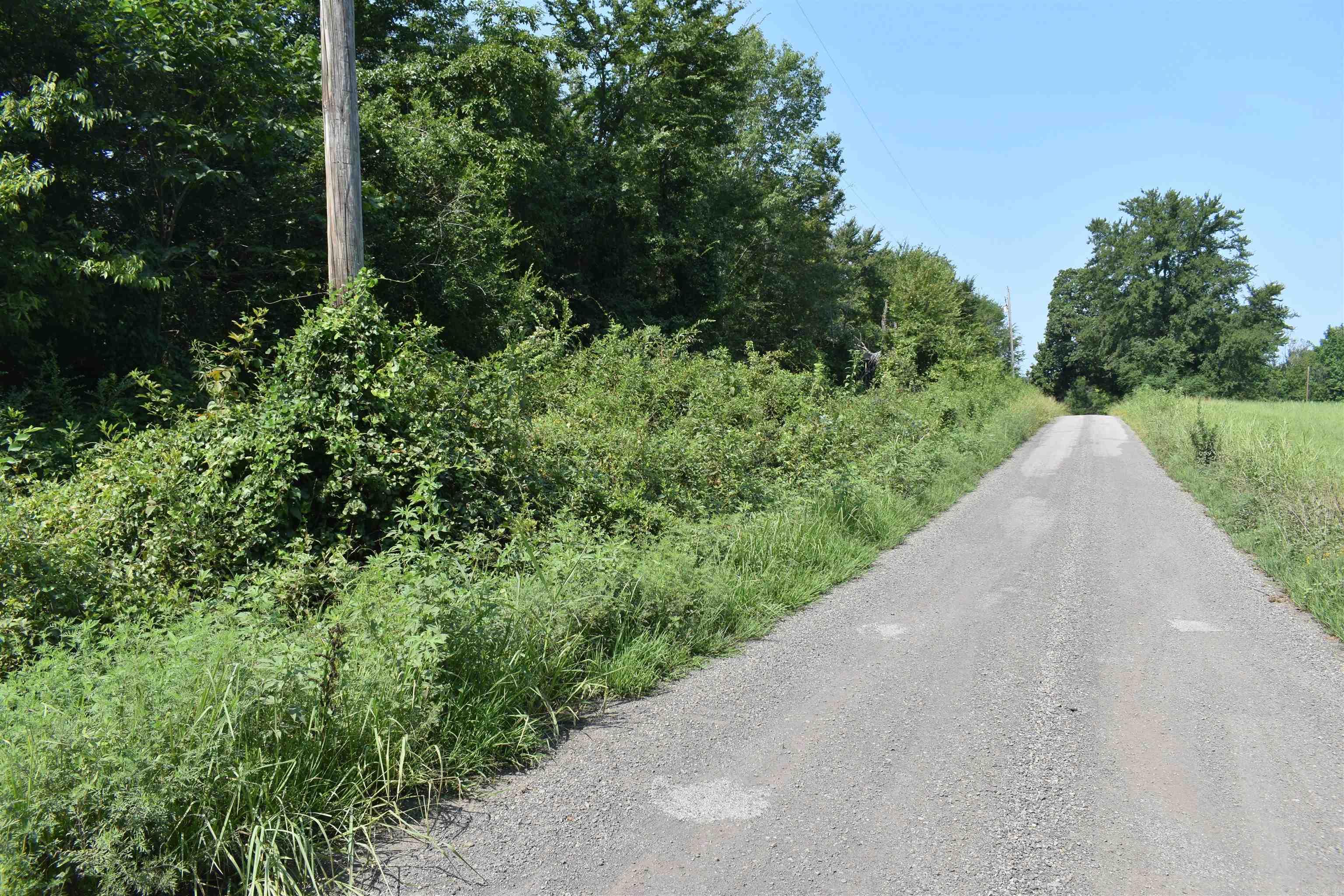0000 Mulberry Rd  Gravelly, AR