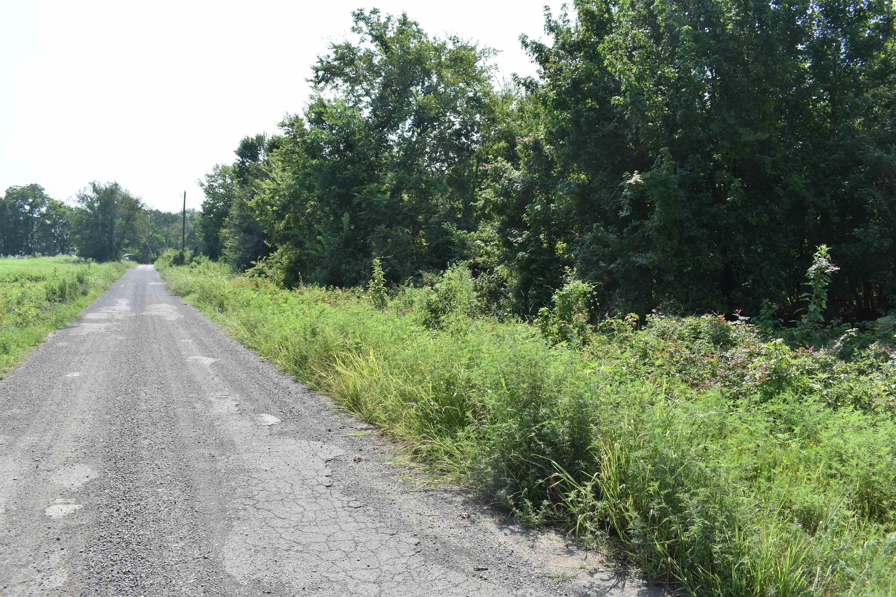 0000 Mulberry Rd  Gravelly, AR