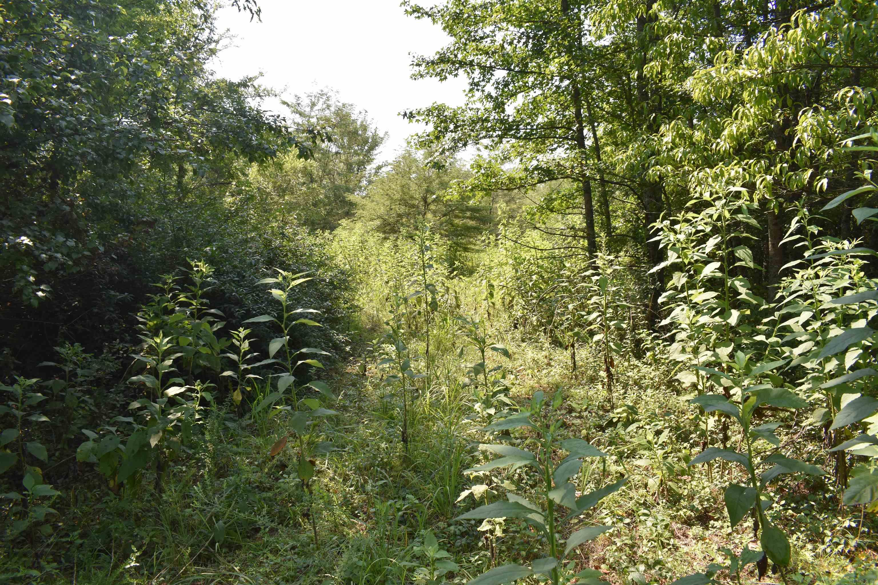 0000 Mulberry Rd  Gravelly, AR
