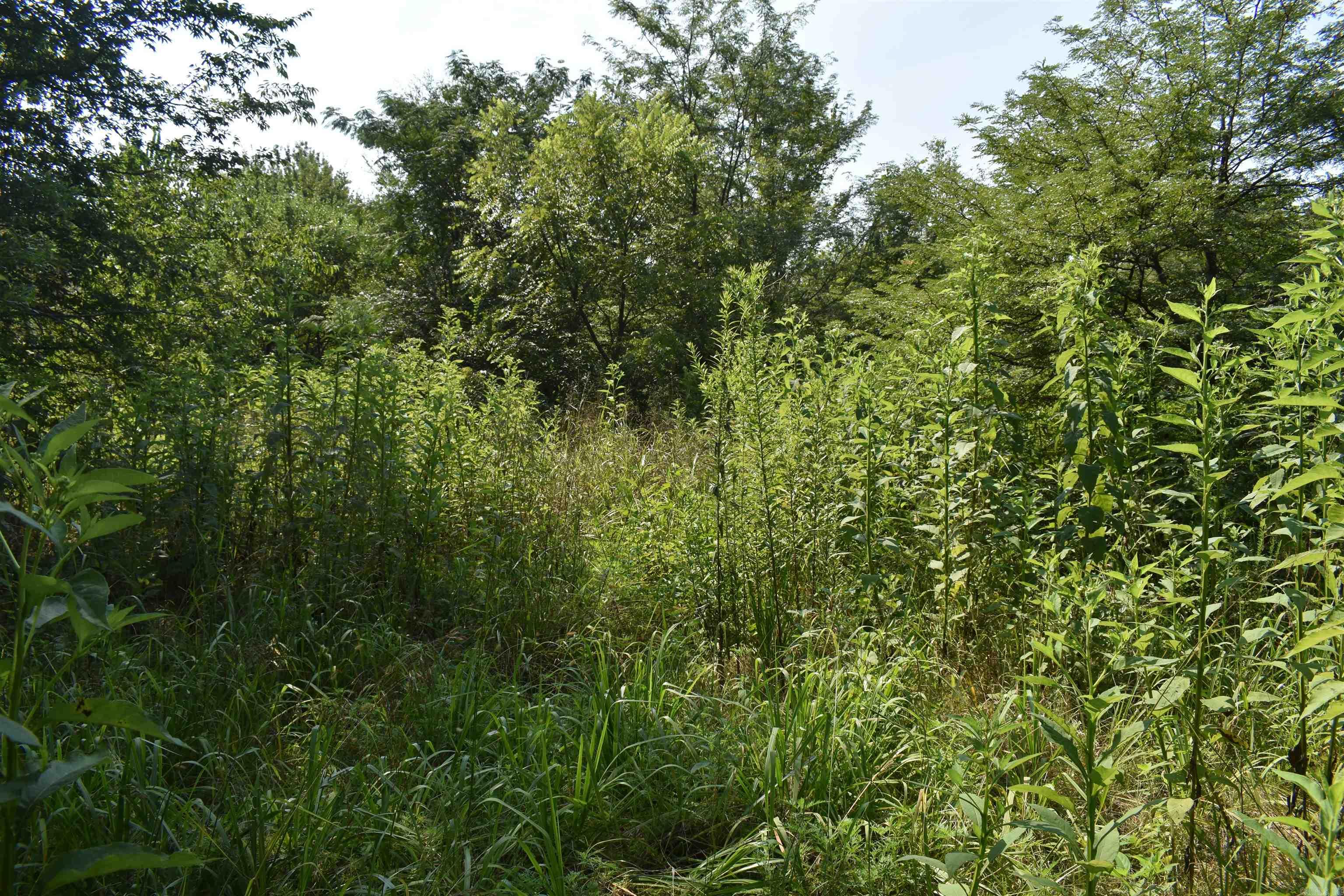 0000 Mulberry Rd  Gravelly, AR