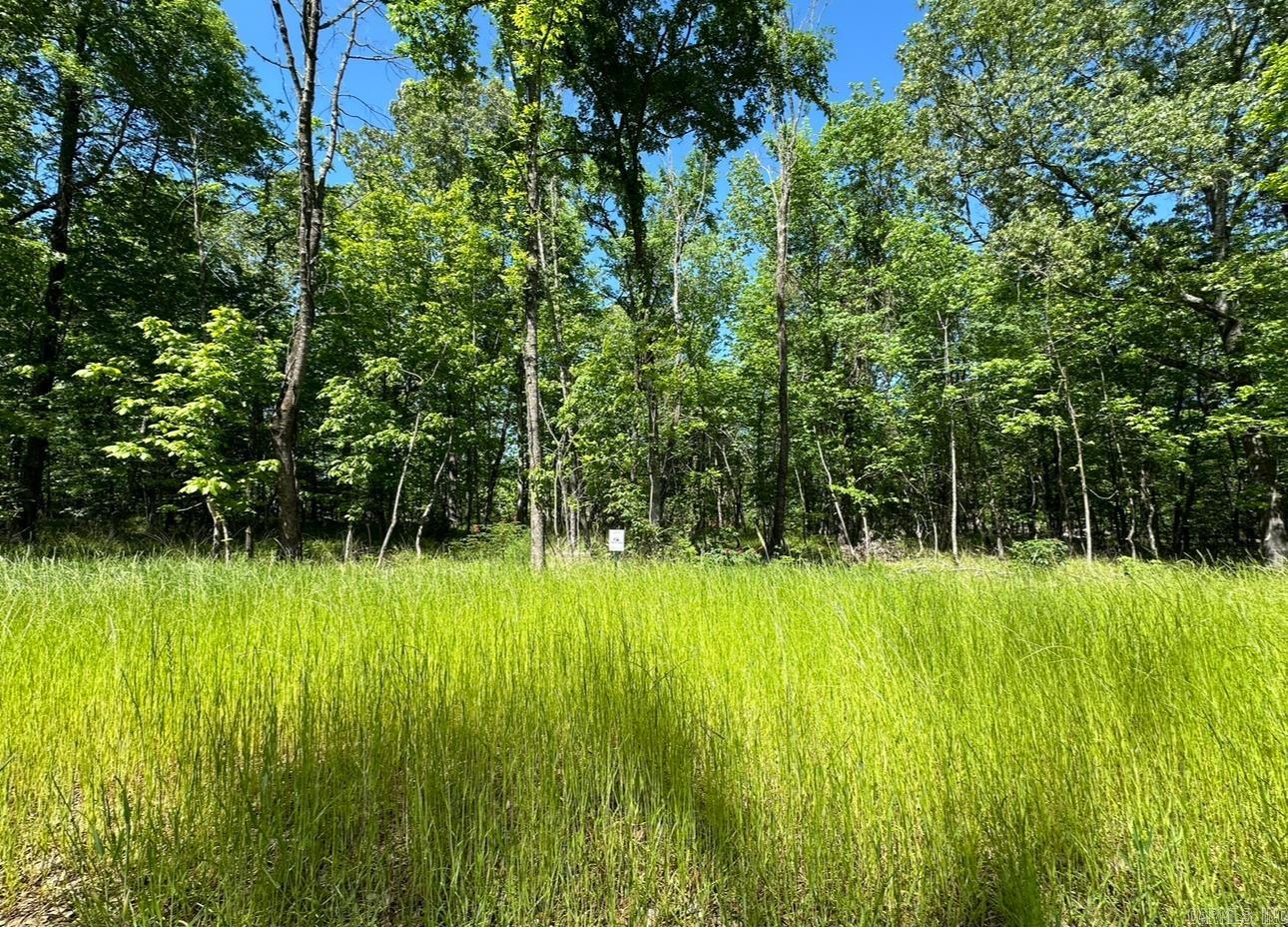 Lot 4 Devoe Bend  Maumelle, AR