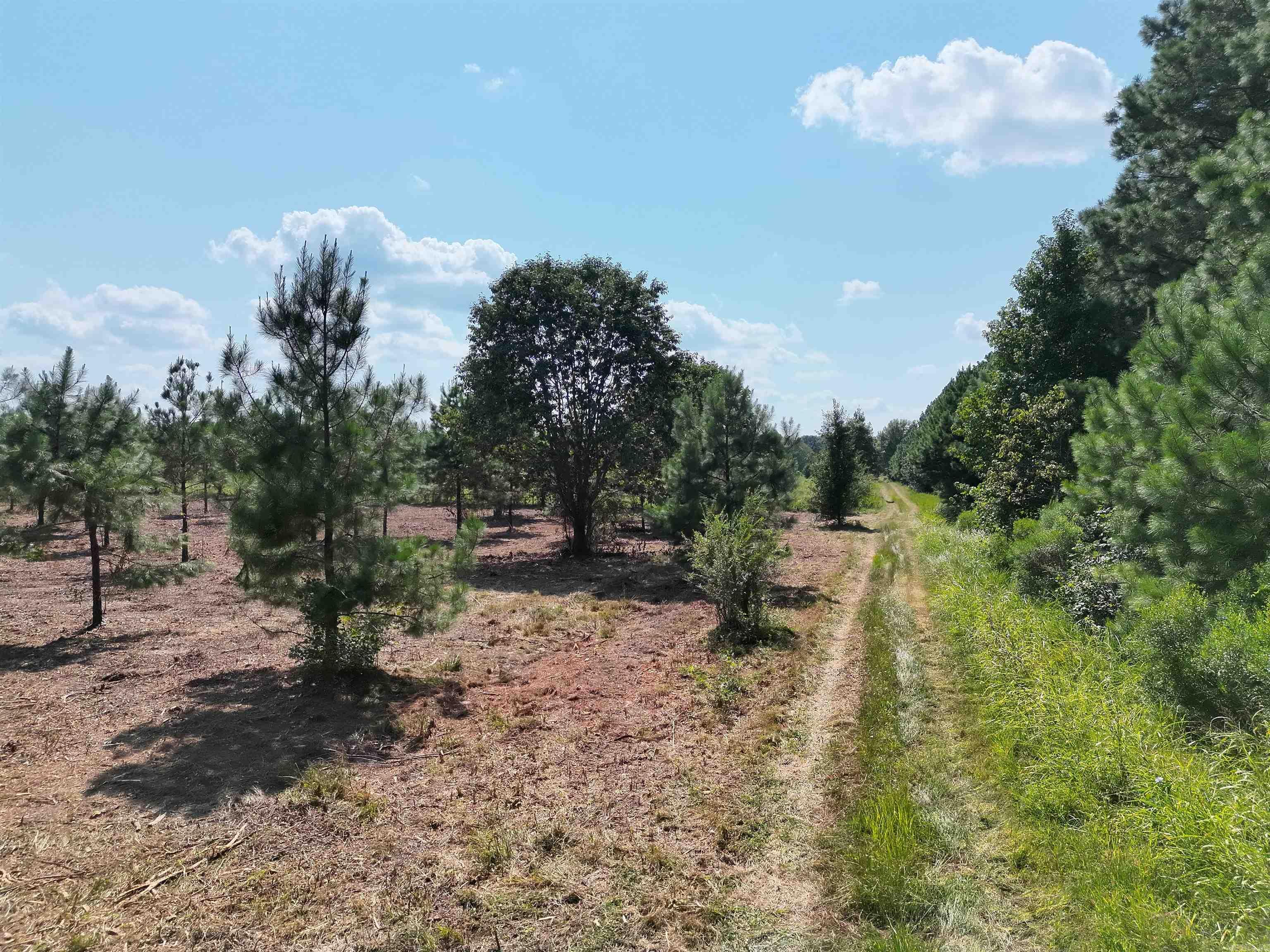 000 hattie ln  Ward, AR