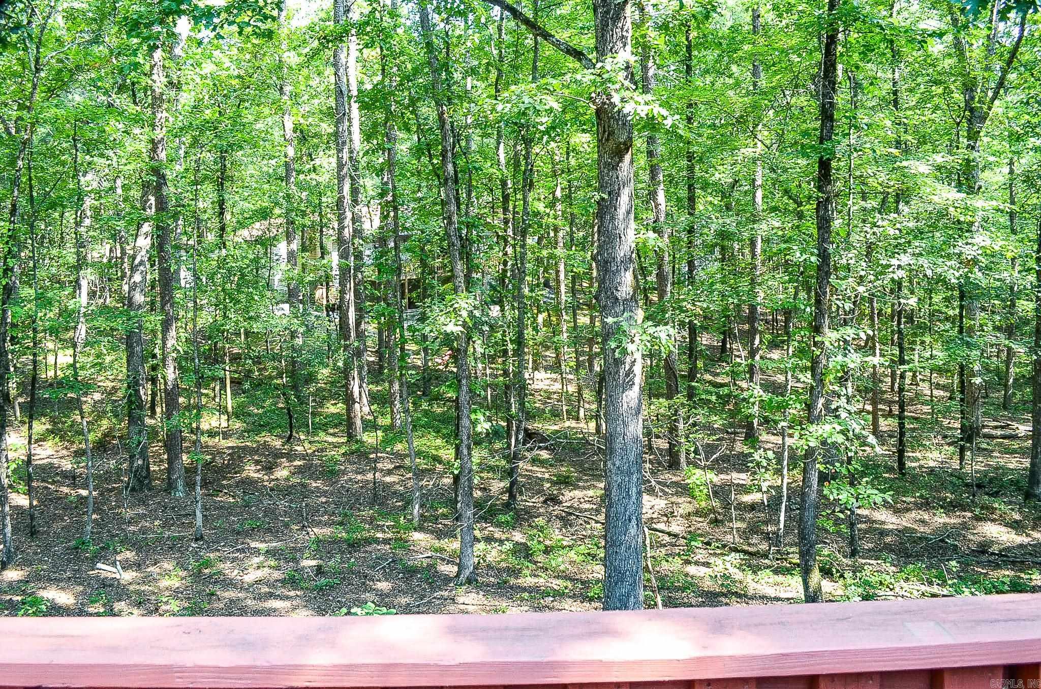 4 Monovar Lane  Hot Springs Village, AR