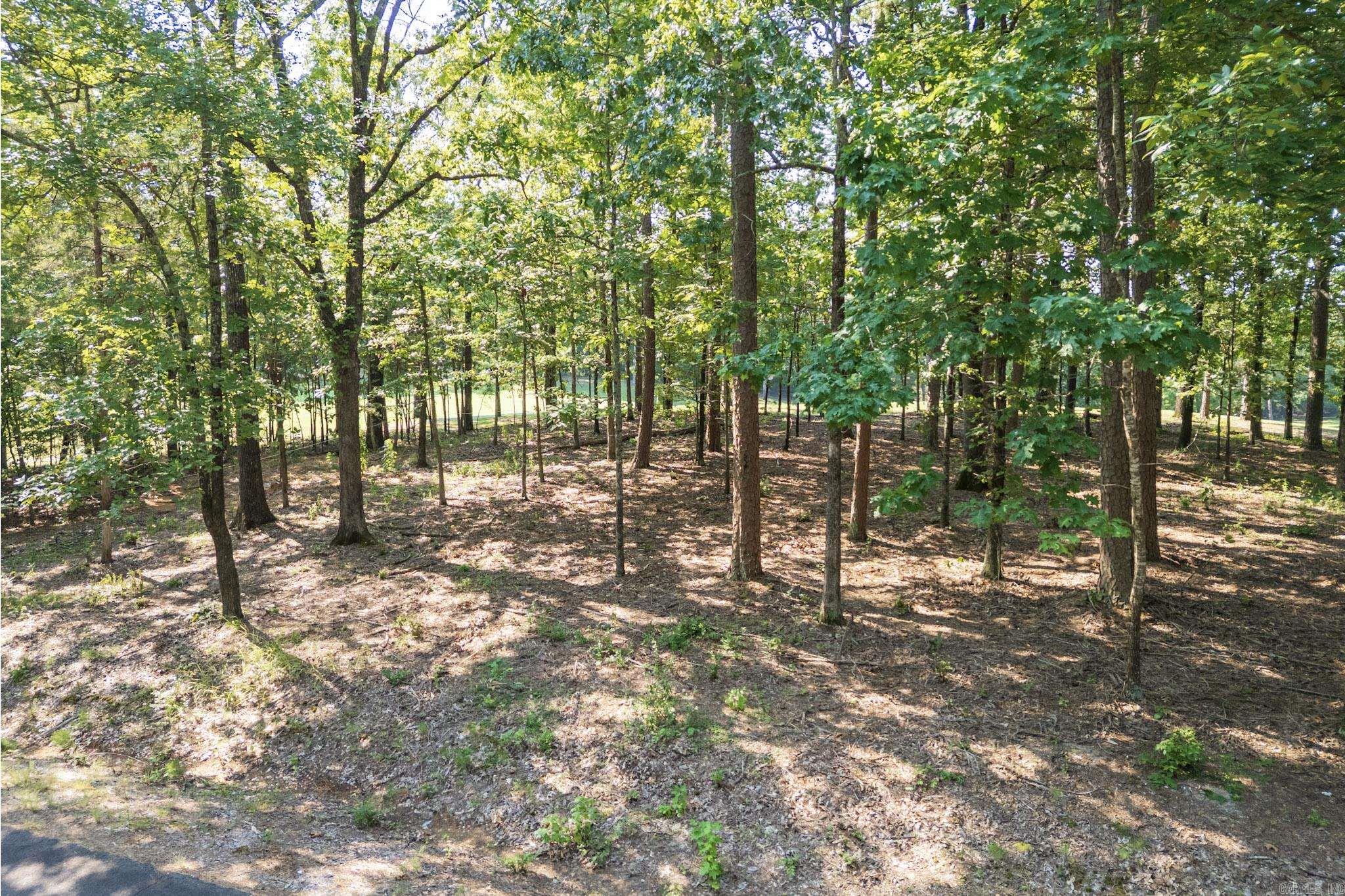 28 Granada  Hot Springs Village, AR