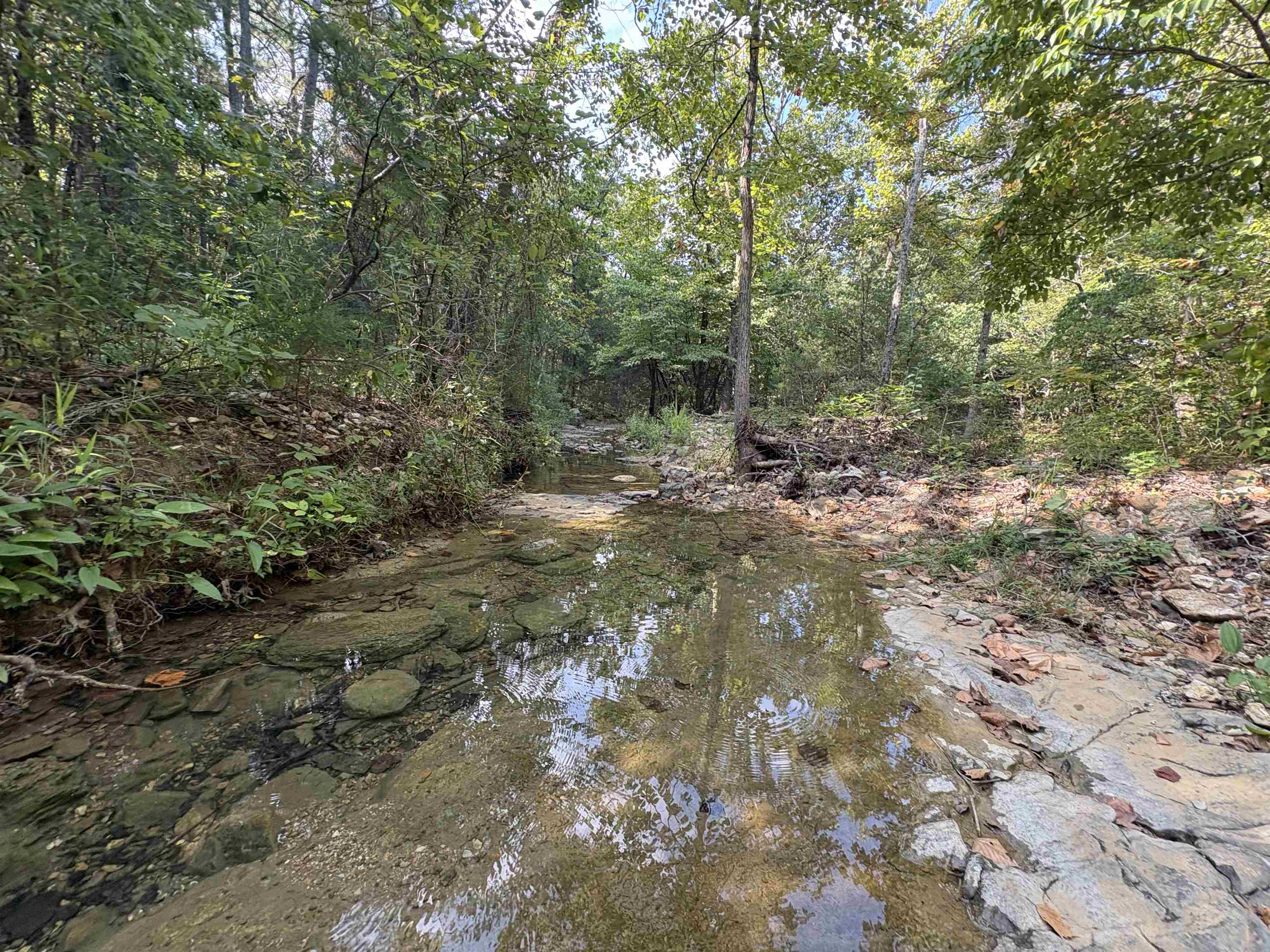 8624 S Highway 63  Mammoth Spring, AR